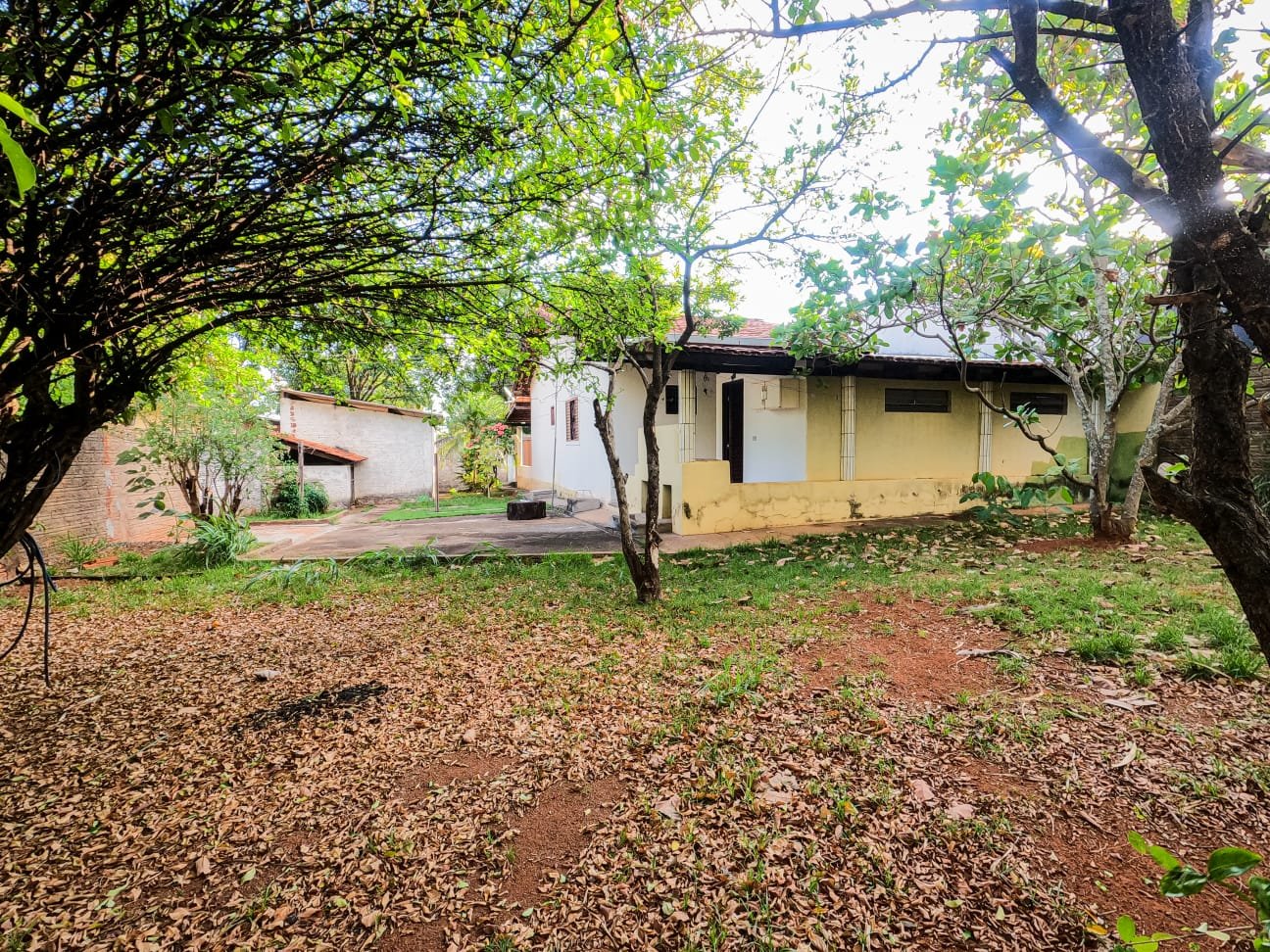 12 QUINTAL FUNDO ARIANA