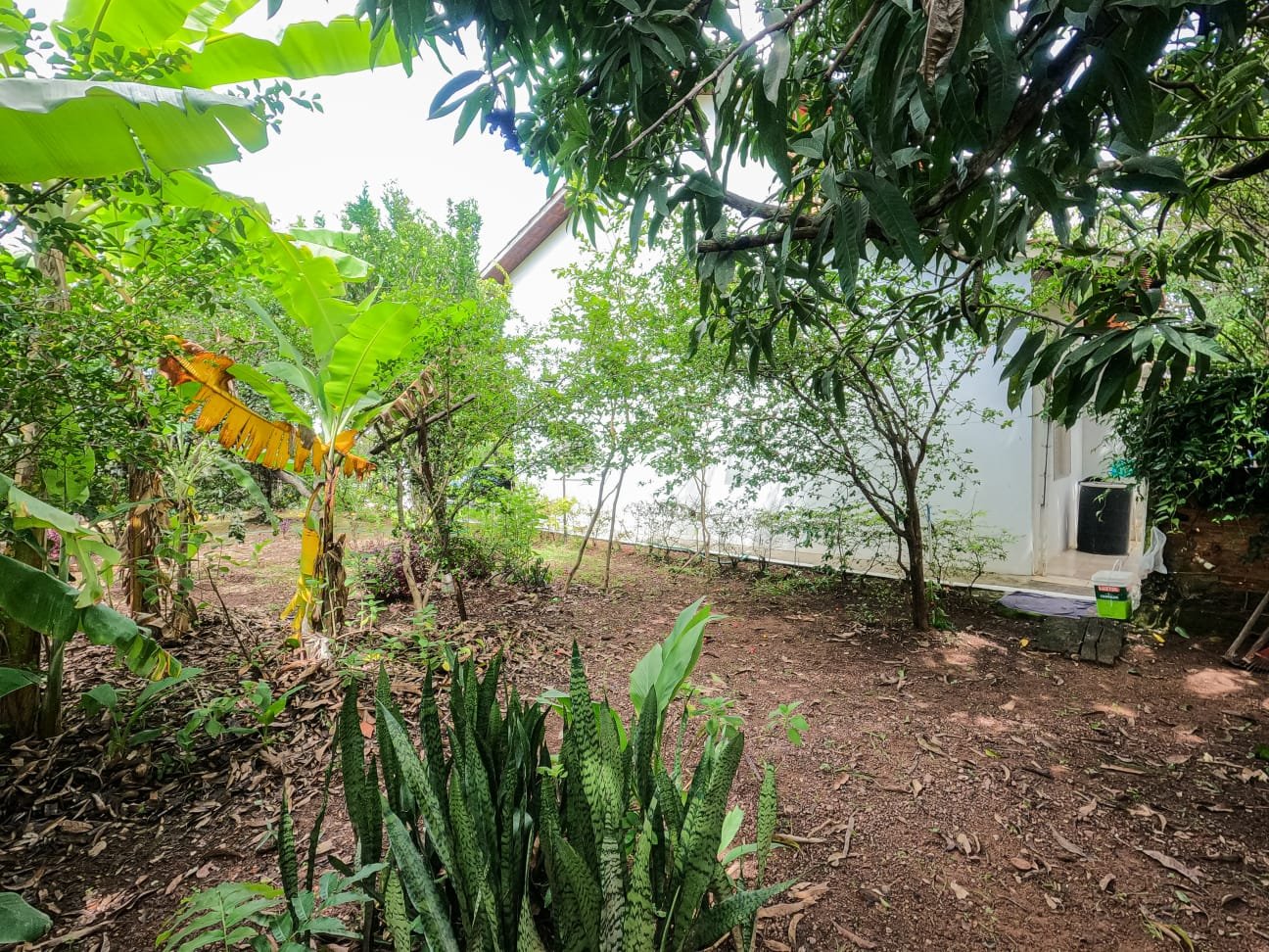 12 QUINTAL FUNDO AND